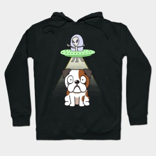 Funny bulldog is being abducted by aliens Hoodie